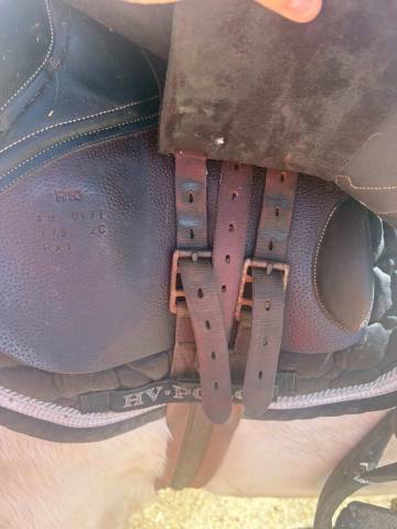 Selle rebelle r10