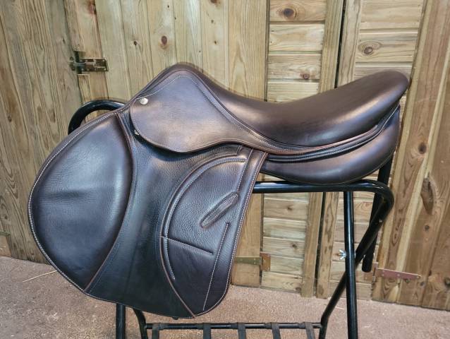 Arion shoulder free 