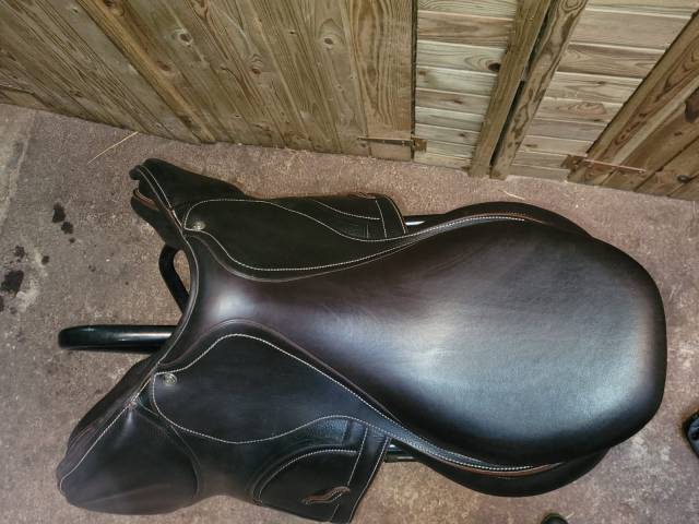 Arion shoulder free 