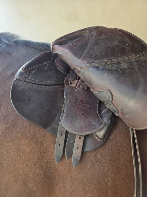 Selle GBS, si&egrave;ge plat, parfait &eacute;tat
