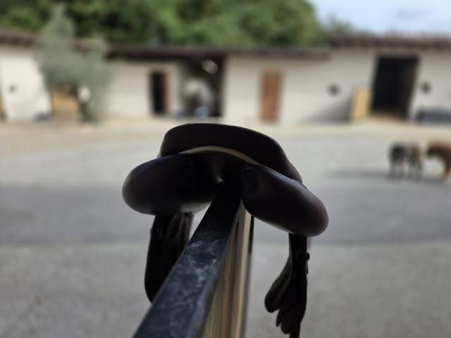 Selle GBS, si&egrave;ge plat, parfait &eacute;tat