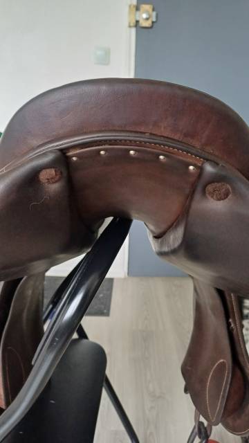 Selle forestier 