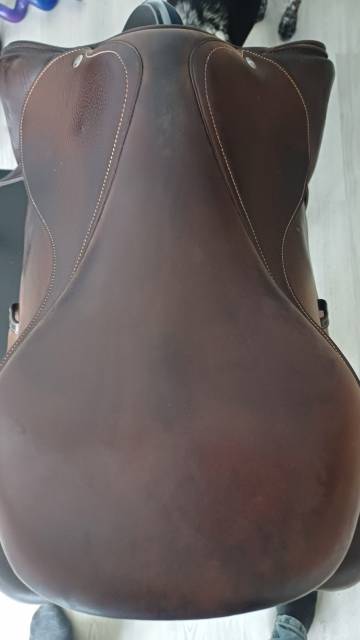 Selle forestier 