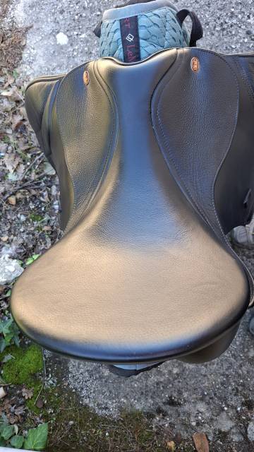SELLE MIXTE KENT AND MASTERS 17,5 Universal GP 2023