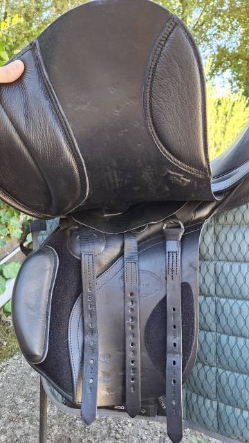 SELLE MIXTE KENT AND MASTERS 17,5 Universal GP 2023