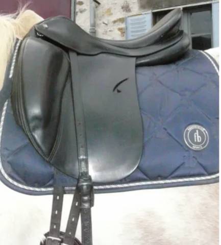 Prestige roma dressage