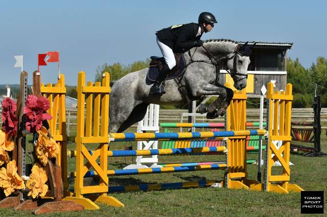 Cheval de 7 ans idéal amateur cce/cso
