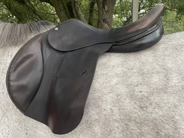 Selle italienne Gianetti