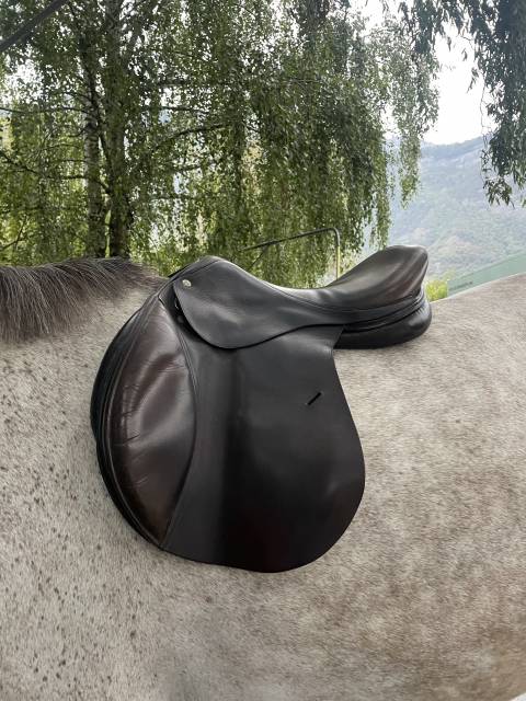 Selle italienne Gianetti