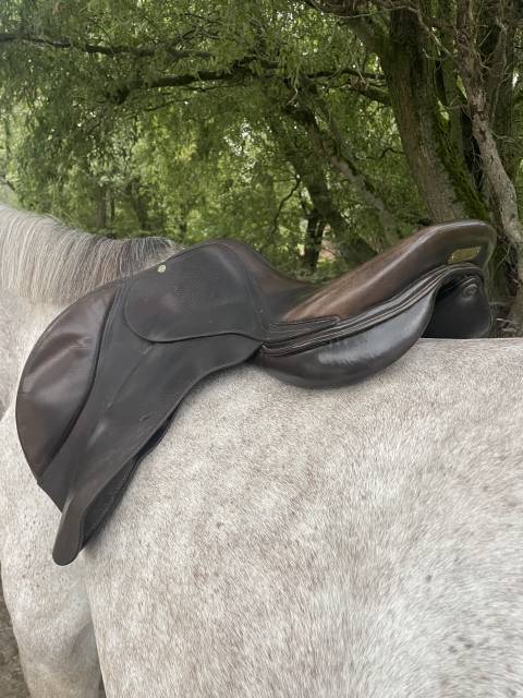 Selle italienne Gianetti