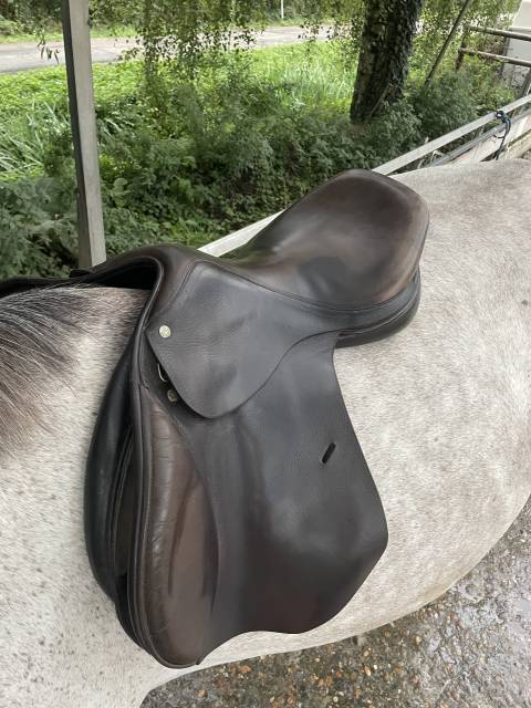 Selle italienne Gianetti
