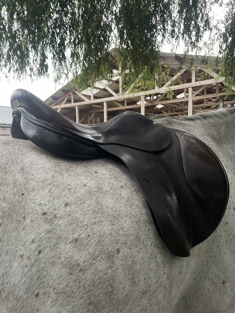 Selle italienne Gianetti