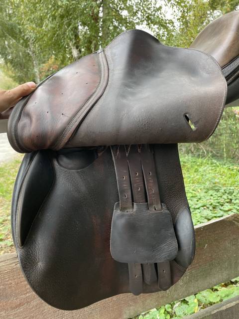 Selle italienne Gianetti