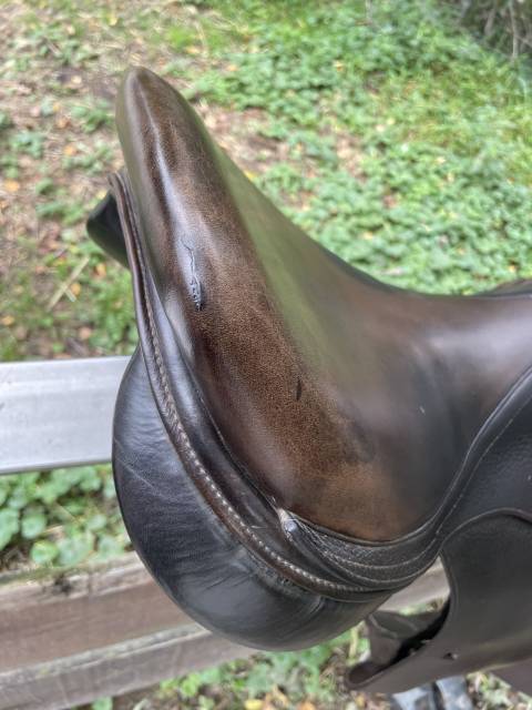 Selle italienne Gianetti