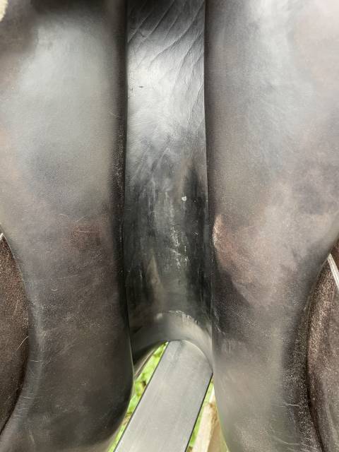 Selle italienne Gianetti