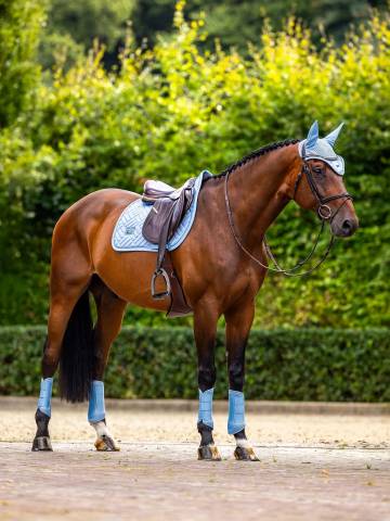 Tapis de selle Modern Midsummer Blue - Equestrian Stockholm