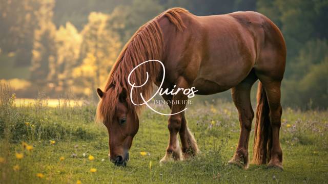 Off market - propriété équestre - 3,89 ha - seine-maritime