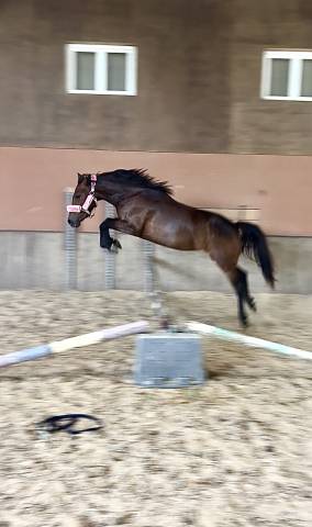 Ponette 4 ans onc 140 cm
