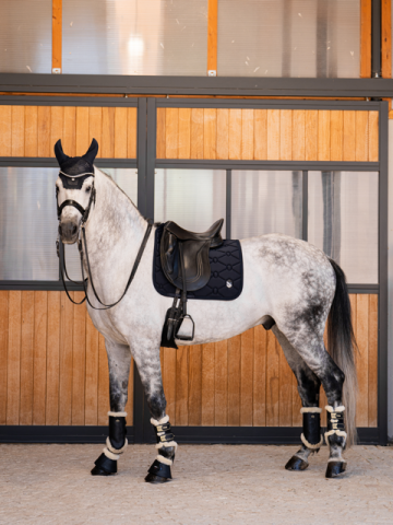 Tapis de Dressage Spineshield Swarovski - Samshield - Mousse haute densité