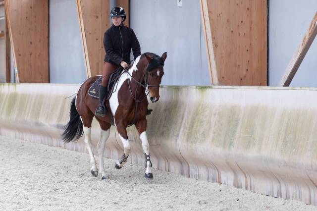 Jument de cso – 10 ans