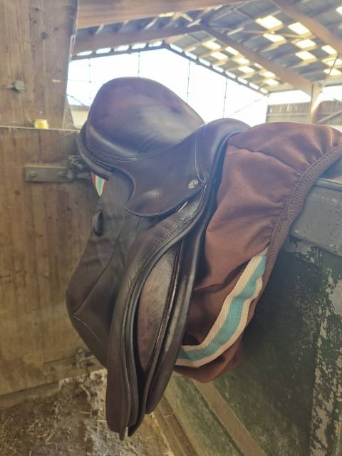 Selle Voltaire CSO