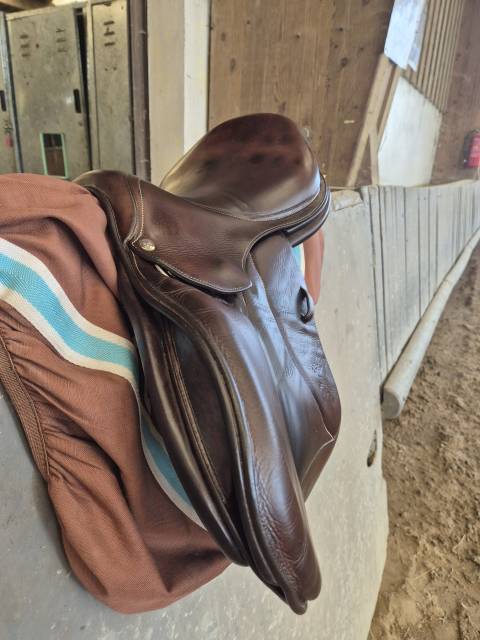 Selle Voltaire CSO