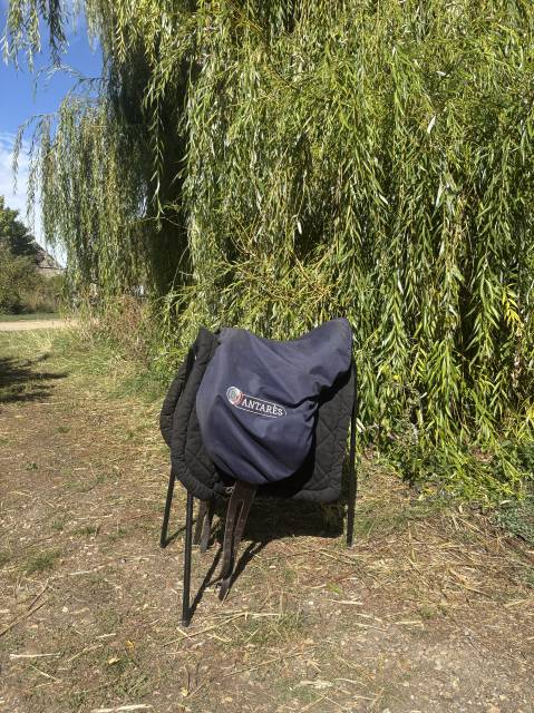? selle antares – cuir marron – 2022 – très bon état