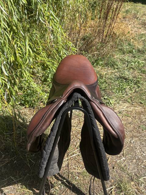? Selle Antares &ndash; cuir marron &ndash; 2022 &ndash; tr&egrave;s bon &eacute;tat