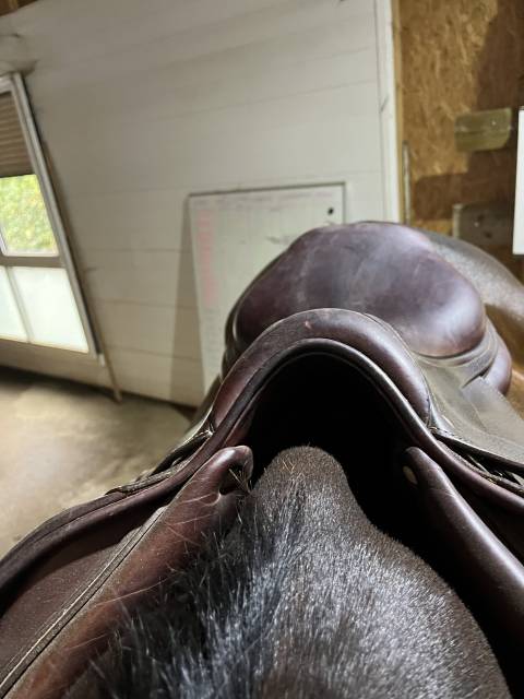 Selle cwd