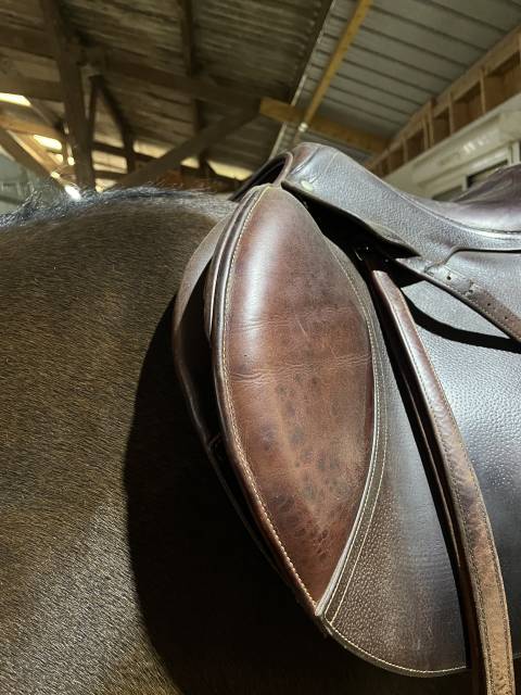 Selle cwd