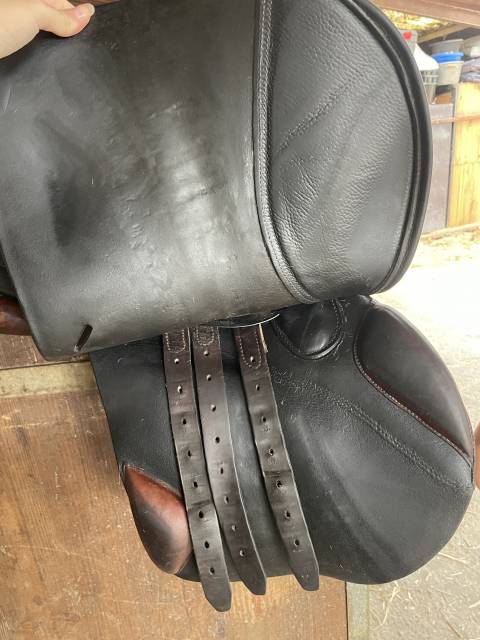 Selle Forestier 17,5