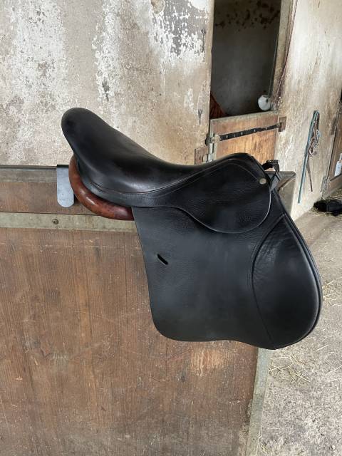 Selle Forestier 17,5