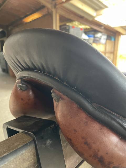 Selle Forestier 17,5