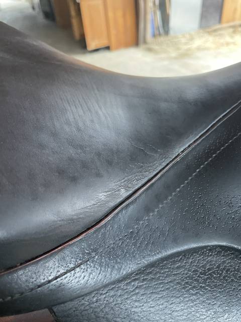 Selle Forestier 17,5