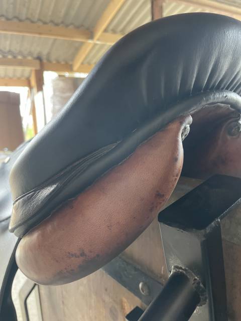 Selle Forestier 17,5