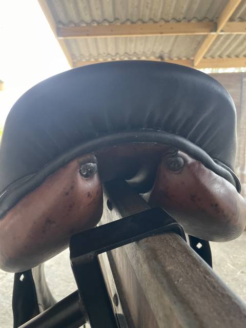 Selle Forestier 17,5