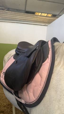 Selle Macel 17,5