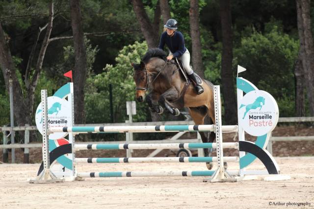 Hongre sf de 15 ans - boy - 1m68
