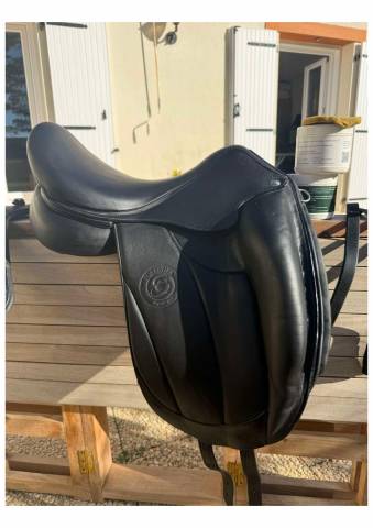 La AACHEN Forestier dressage 