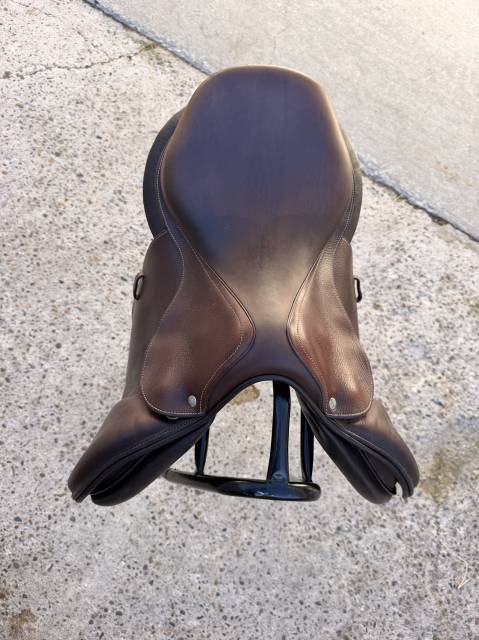 Selle S&eacute;oul forestier 