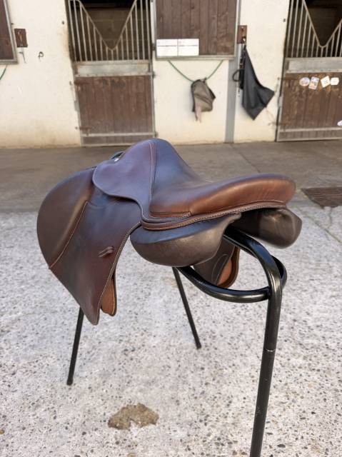 Selle S&eacute;oul forestier 