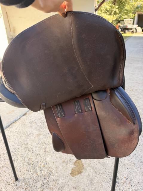 Selle S&eacute;oul forestier 