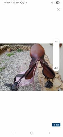 Selle mixte cuir Forestier 