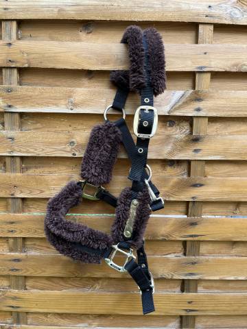 licol kentucky   taille poney 