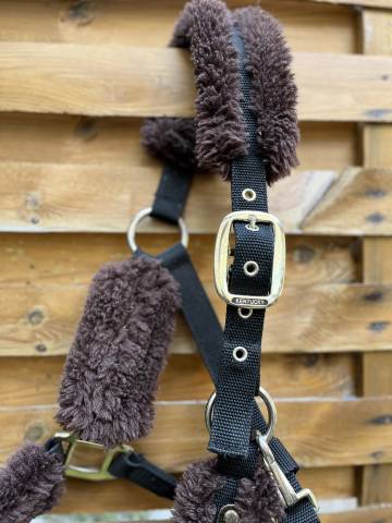 licol kentucky   taille poney 