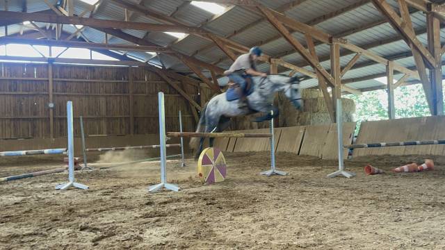 Vends ponette cso, 6 ans