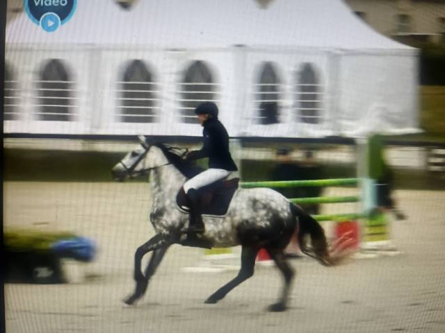 Vends ponette cso, 6 ans
