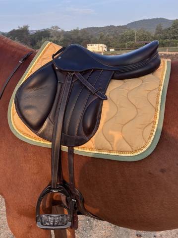 Selle Forestier monoquartier Boeckelo 
