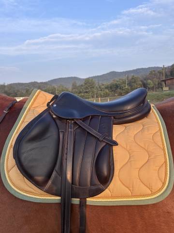 Selle Forestier monoquartier Boeckelo 