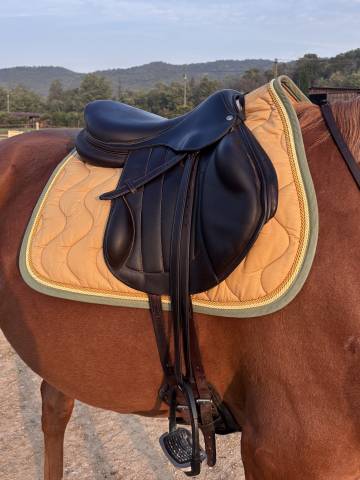 Selle Forestier monoquartier Boeckelo 